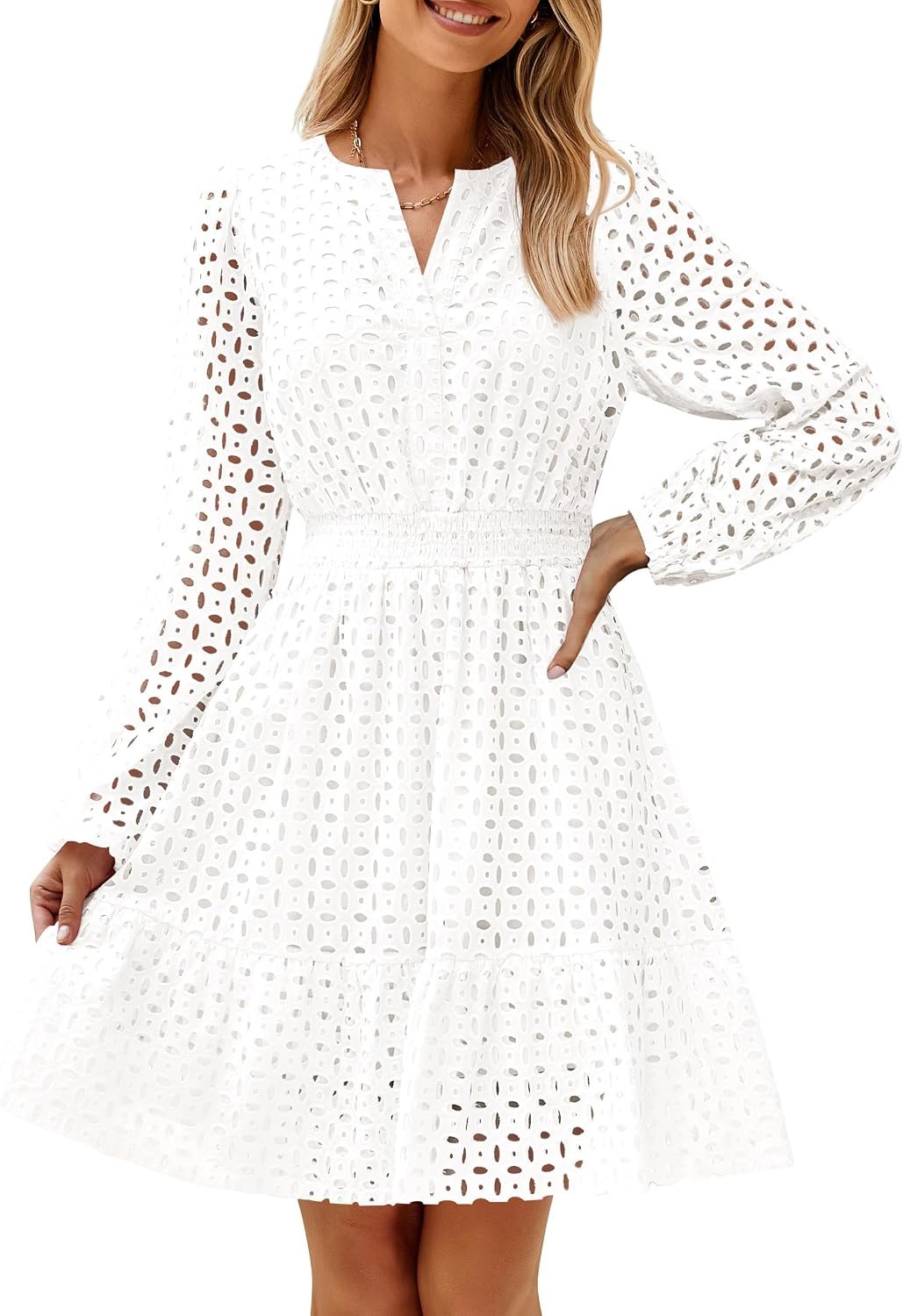 Women's  Long Sleeve Mini Dress Fall V Neck Hollow Out Eyelet Embroidery Ruffle A Line Swing Short Dresses